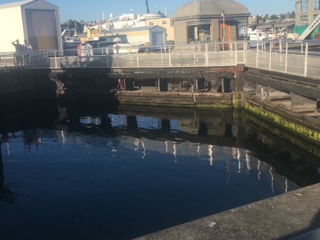 Ballard Locks